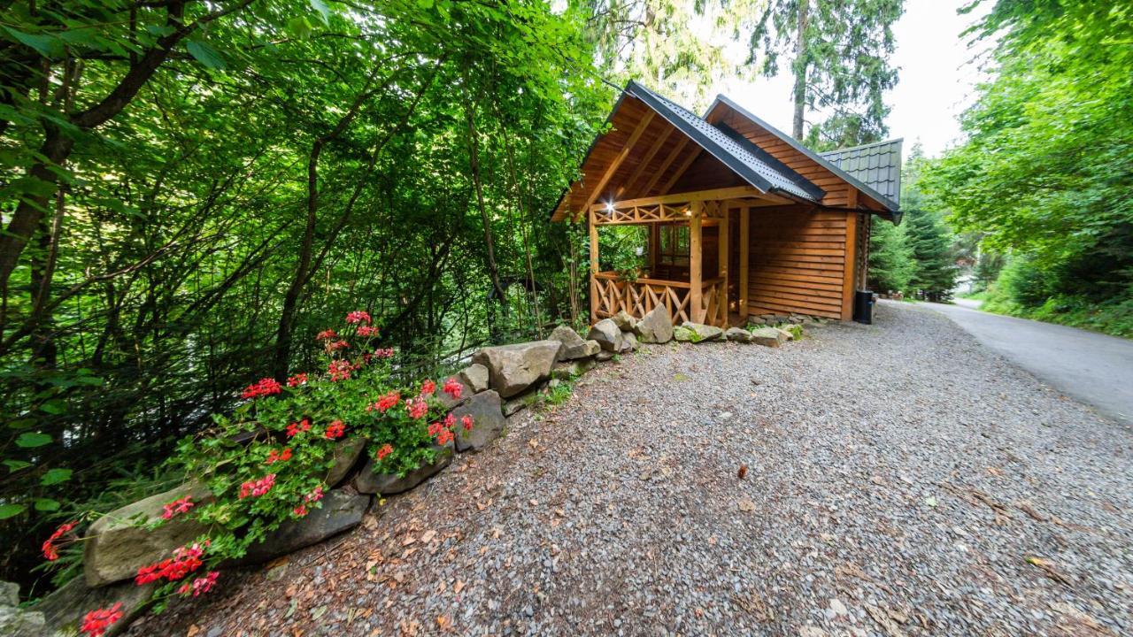 Karpatska Villa Mykulytschyn Exterior foto